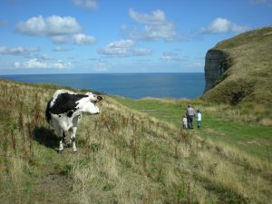 etretat normandie natterra